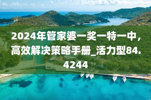 2024年管家婆一獎(jiǎng)一特一中，高效解決策略手冊(cè)_活力型84.4244