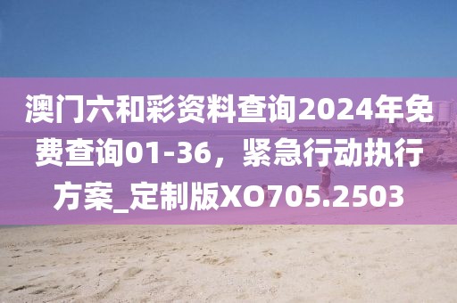 澳門六和彩資料查詢2024年免費查詢01-36，緊急行動執(zhí)行方案_定制版XO705.2503