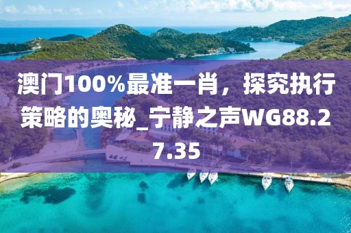 澳門100%最準(zhǔn)一肖，探究執(zhí)行策略的奧秘_寧靜之聲WG88.27.35
