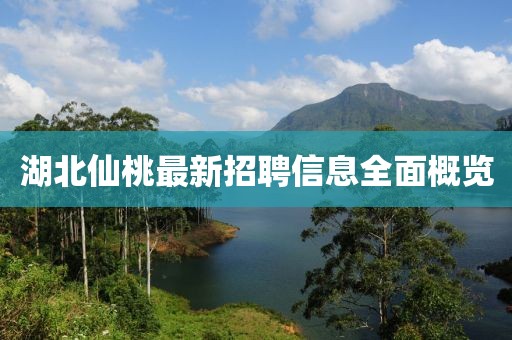 湖北仙桃最新招聘信息全面概覽