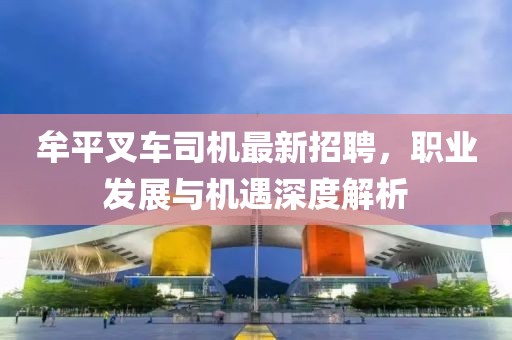 牟平叉車司機(jī)最新招聘，職業(yè)發(fā)展與機(jī)遇深度解析
