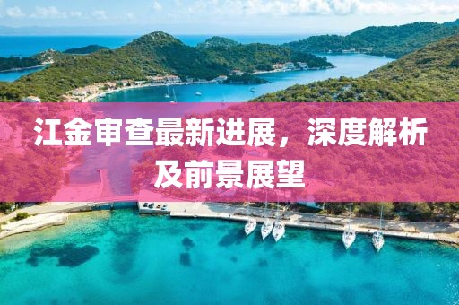 江金審查最新進展，深度解析及前景展望