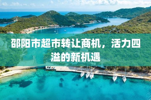 邵陽市超市轉(zhuǎn)讓商機，活力四溢的新機遇