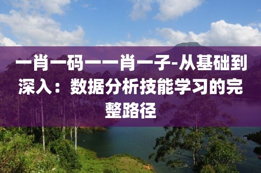 一肖一碼一一肖一子-從基礎(chǔ)到深入：數(shù)據(jù)分析技能學(xué)習(xí)的完整路徑
