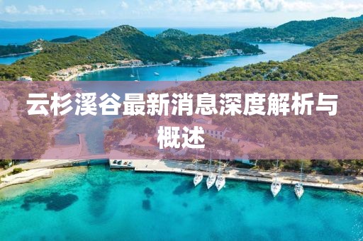 云杉溪谷最新消息深度解析與概述