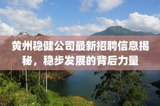 黃州穩(wěn)健公司最新招聘信息揭秘，穩(wěn)步發(fā)展的背后力量