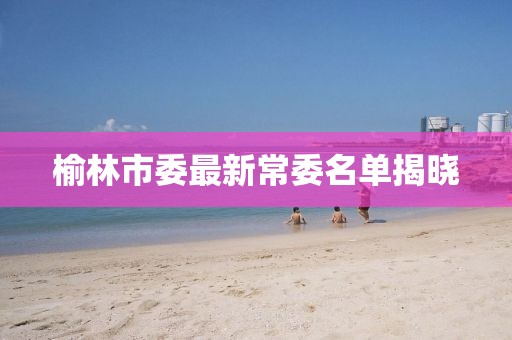榆林市委最新常委名單揭曉