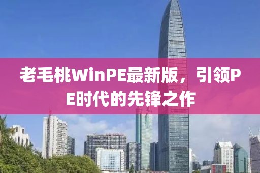 老毛桃WinPE最新版，引領(lǐng)PE時(shí)代的先鋒之作