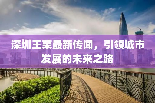 深圳王榮最新傳聞，引領城市發(fā)展的未來之路