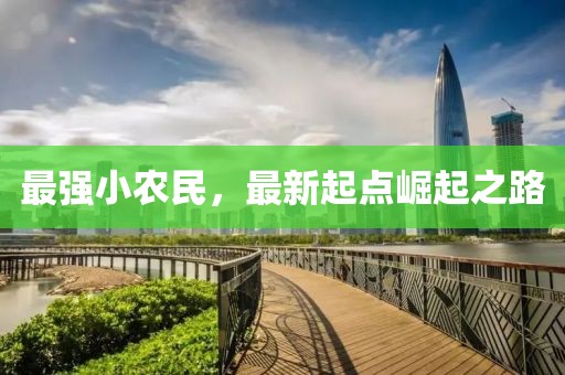 最強小農(nóng)民，最新起點崛起之路