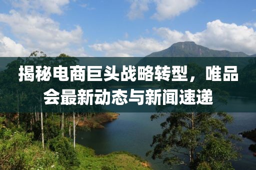 揭秘電商巨頭戰(zhàn)略轉(zhuǎn)型，唯品會(huì)最新動(dòng)態(tài)與新聞速遞