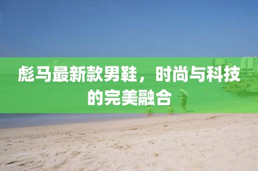 彪馬最新款男鞋，時(shí)尚與科技的完美融合