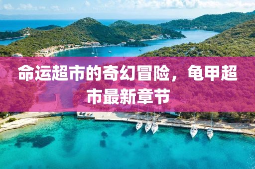 命運超市的奇幻冒險，龜甲超市最新章節(jié)