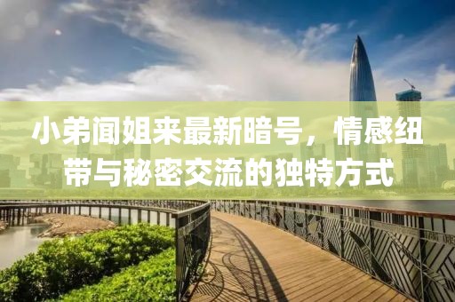 小弟聞姐來最新暗號(hào)，情感紐帶與秘密交流的獨(dú)特方式