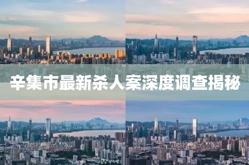 辛集市最新殺人案深度調(diào)查揭秘