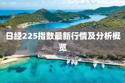 日經(jīng)225指數(shù)最新行情及分析概覽