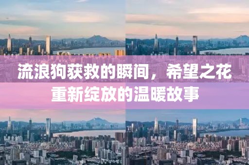 冷無(wú)情 第7頁(yè)