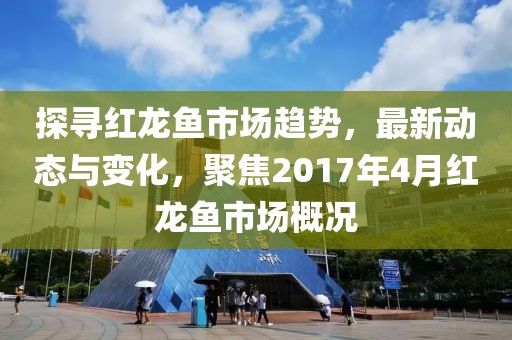 探尋紅龍魚(yú)市場(chǎng)趨勢(shì)，最新動(dòng)態(tài)與變化，聚焦2017年4月紅龍魚(yú)市場(chǎng)概況
