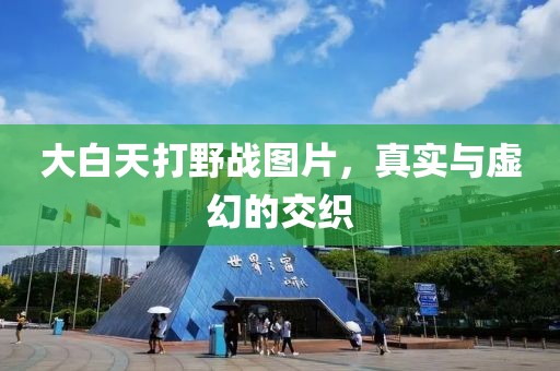 大白天打野戰(zhàn)圖片，真實(shí)與虛幻的交織