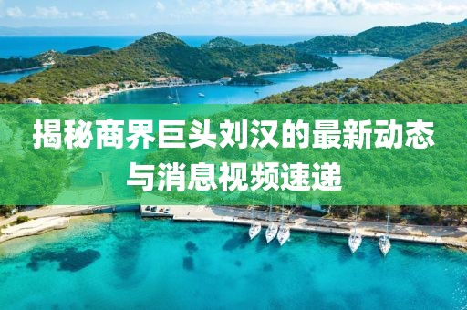 揭秘商界巨頭劉漢的最新動(dòng)態(tài)與消息視頻速遞