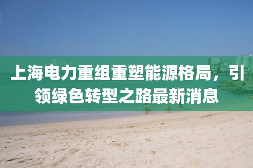 上海電力重組重塑能源格局，引領(lǐng)綠色轉(zhuǎn)型之路最新消息