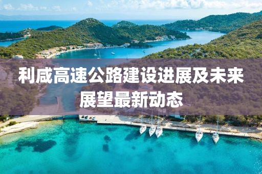 利咸高速公路建設(shè)進(jìn)展及未來(lái)展望最新動(dòng)態(tài)