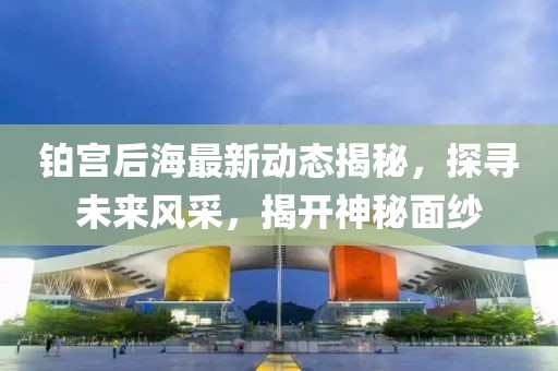 鉑宮后海最新動(dòng)態(tài)揭秘，探尋未來(lái)風(fēng)采，揭開(kāi)神秘面紗