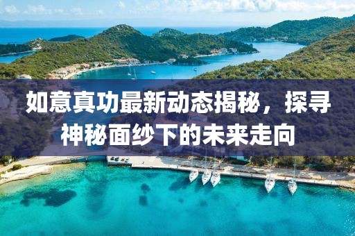 如意真功最新動(dòng)態(tài)揭秘，探尋神秘面紗下的未來(lái)走向