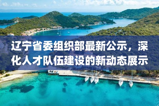遼寧省委組織部最新公示，深化人才隊(duì)伍建設(shè)的新動(dòng)態(tài)展示