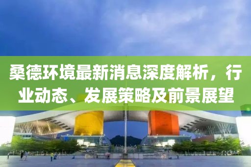 桑德環(huán)境最新消息深度解析，行業(yè)動態(tài)、發(fā)展策略及前景展望
