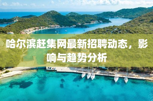 哈爾濱趕集網(wǎng)最新招聘動(dòng)態(tài)，影響與趨勢(shì)分析