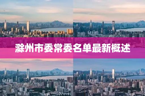 滁州市委常委名單最新概述