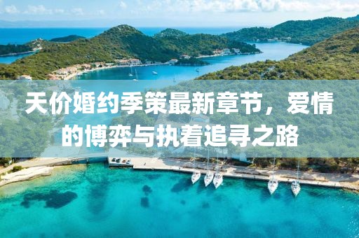 天價(jià)婚約季策最新章節(jié)，愛情的博弈與執(zhí)著追尋之路