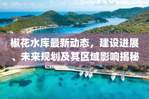 椒花水庫最新動態(tài)，建設進展、未來規(guī)劃及其區(qū)域影響揭秘