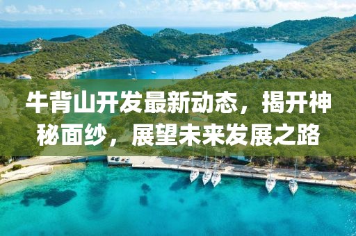 牛背山開發(fā)最新動態(tài)，揭開神秘面紗，展望未來發(fā)展之路