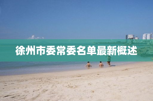 徐州市委常委名單最新概述