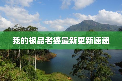 我的極品老婆最新更新速遞