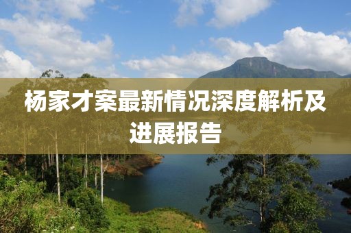 楊家才案最新情況深度解析及進(jìn)展報(bào)告