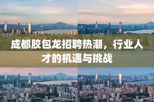 成都膠包龍招聘熱潮，行業(yè)人才的機遇與挑戰(zhàn)
