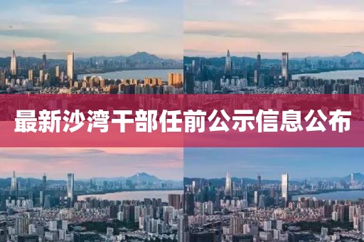 最新沙灣干部任前公示信息公布