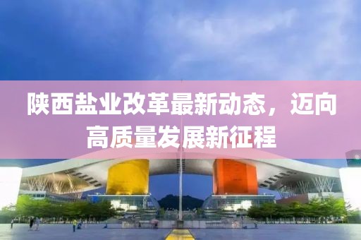 陜西鹽業(yè)改革最新動態(tài)，邁向高質(zhì)量發(fā)展新征程