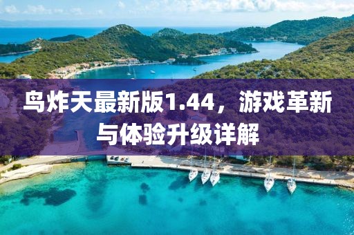 鳥炸天最新版1.44，游戲革新與體驗升級詳解