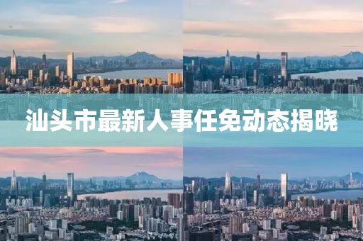 汕頭市最新人事任免動態(tài)揭曉