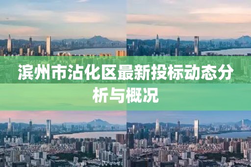 濱州市沾化區(qū)最新投標動態(tài)分析與概況