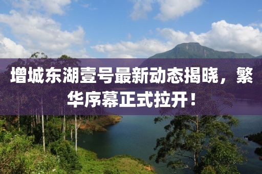 增城東湖壹號(hào)最新動(dòng)態(tài)揭曉，繁華序幕正式拉開！