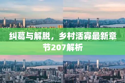 糾葛與解脫，鄉(xiāng)村活寡最新章節(jié)207解析