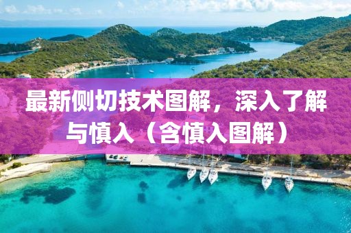 最新側(cè)切技術(shù)圖解，深入了解與慎入（含慎入圖解）
