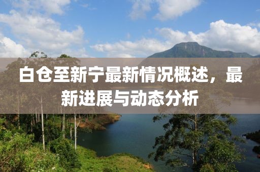 白倉至新寧最新情況概述，最新進(jìn)展與動(dòng)態(tài)分析