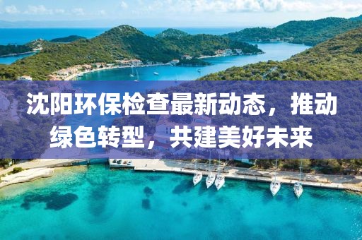 沈陽(yáng)環(huán)保檢查最新動(dòng)態(tài)，推動(dòng)綠色轉(zhuǎn)型，共建美好未來(lái)