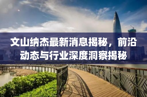 文山納杰最新消息揭秘，前沿動態(tài)與行業(yè)深度洞察揭秘